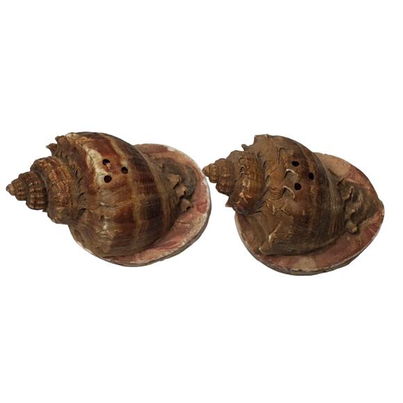 Seashell Salt and Pepper Shakers Vintage Souvenir of Corpus Christi TX - Picture 2 of 7